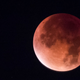 Imagen para el artículo titulado Las mejores fotos del eclipse total y la superluna de ayer